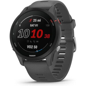 Garmin Forerunner 255 - Slate Gray