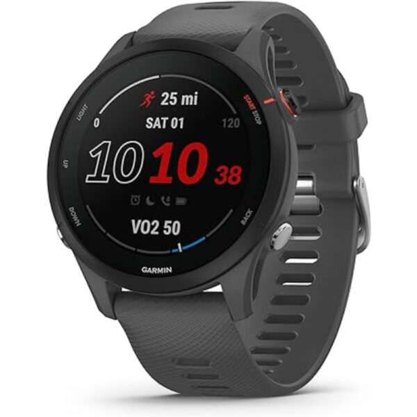 Garmin Forerunner 255 - Slate Gray