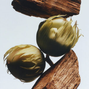 Jo Malone English Oak & Hazelnut Cologne 50ml