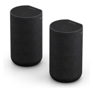 SONY SA-RS5 2.0.2 Wireless Rear Speaker Kit