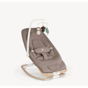 Joie Dreamer Compact Rocker - Strata Acorn Wood